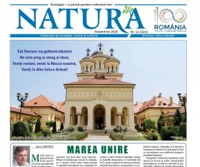 MAREA UNIRE