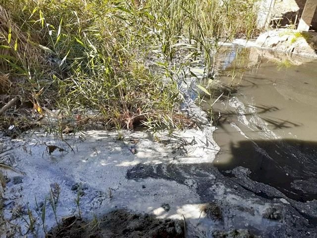 Ialpug, groapă de canalizare