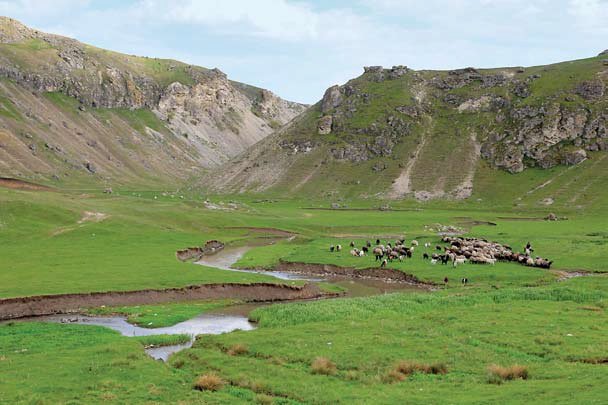 Două poveşti: Draghiştea şi Feteşti