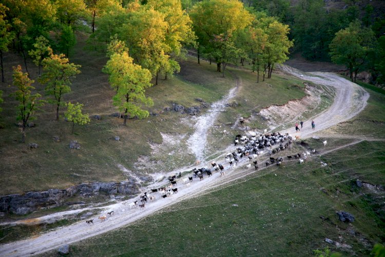 Basarabia frumoasă