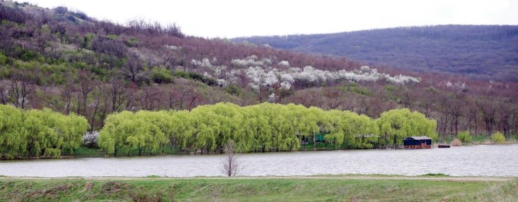 Un decor de poveste la Cărbuna