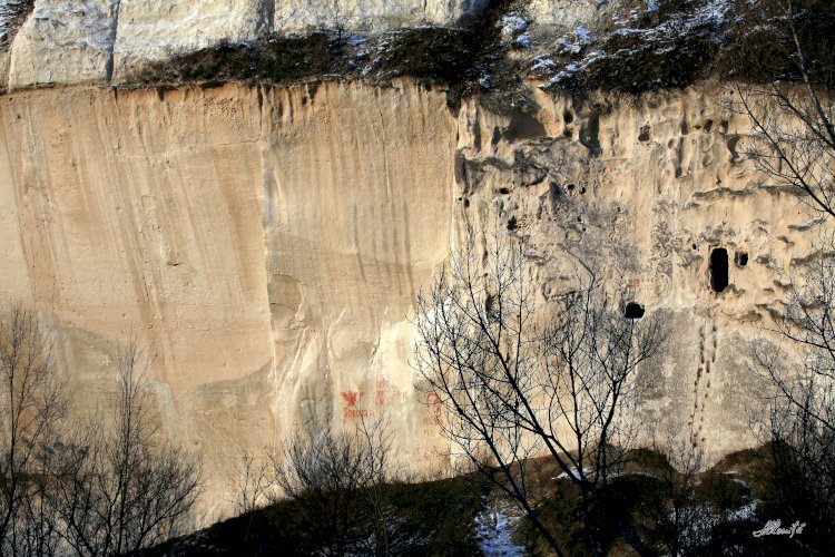 Rezervația naturală Rudi - Tătărăuca nouă