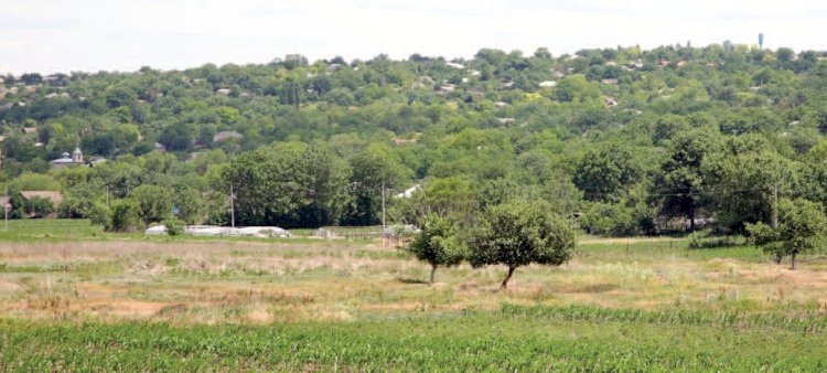 Corjova: santinela de la Nistru