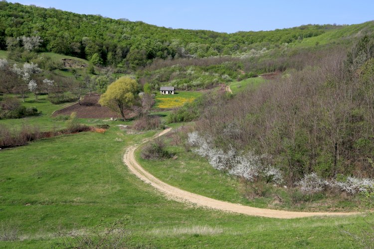 Basarabia. Drumuri de lumină