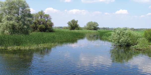 Delta Dunării: Paradisul păsărilor