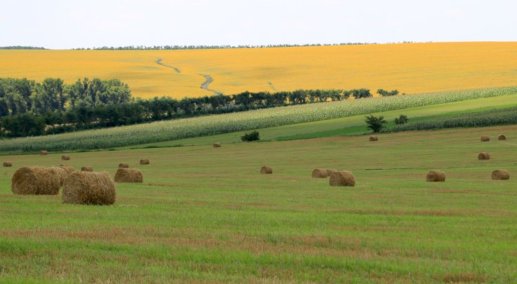 Natura nu dă nimic omului fără mare străduinţă