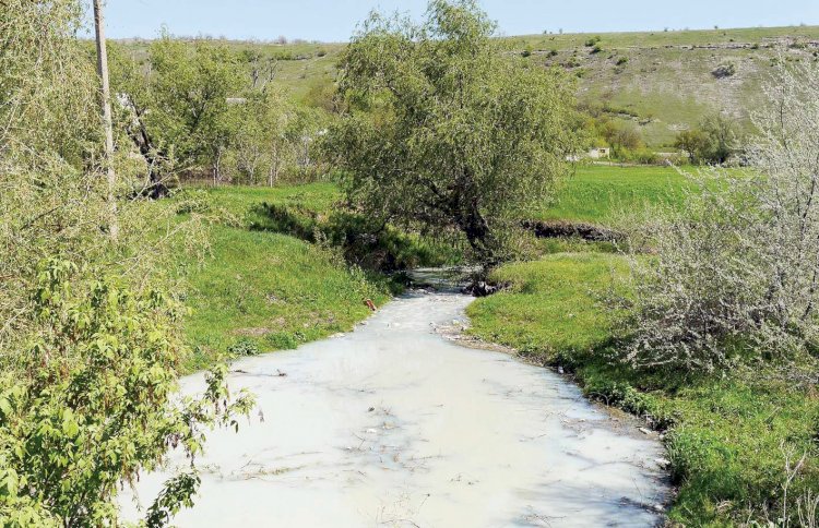 „Monştrii invizibili” din detergenţi