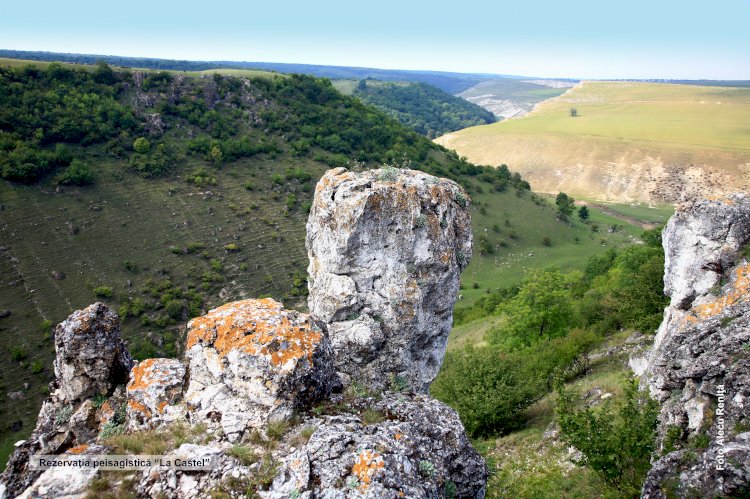 Dor de Văniuca Hudik....