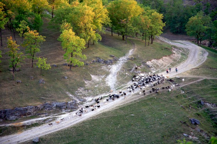 „Datorită fotografiilor Dvs am văzut ce frumos arată țara noastră”