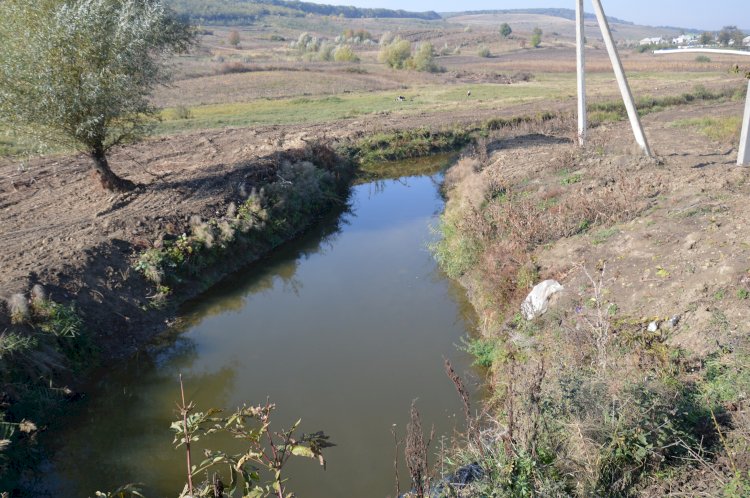 Expediţii ecologice pe râul Botna