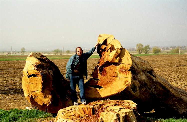 Vlad Pohilă: pârcălabul geniului românesc