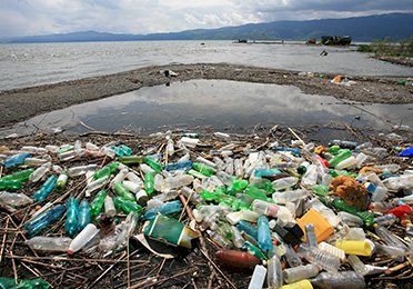 De unde începe educaţia ecologică