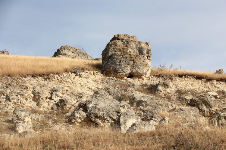 Indiferența ne va distruge