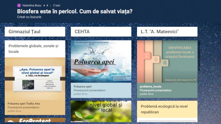 ECOPROTECT - elevii de la Țaul se implică în protecția mediului înconjurător