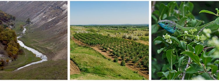 Concursul Wiki Loves Earth 2021 în Moldova revine! Fotografiază ariile protejate și câștigă premii!