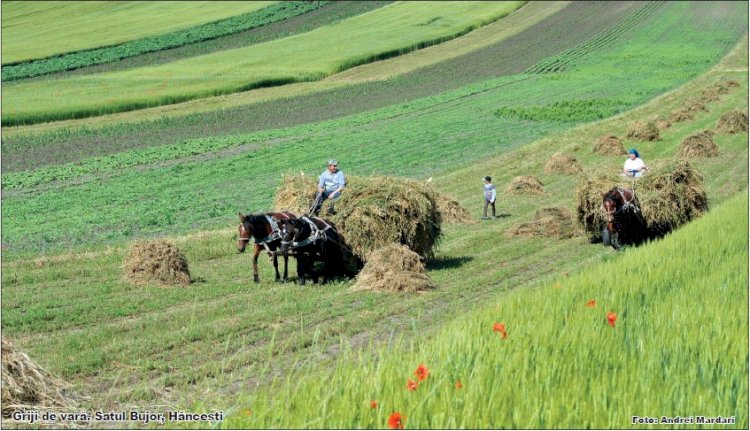 ECOLOGIA SUFLETULUI NOSTRU