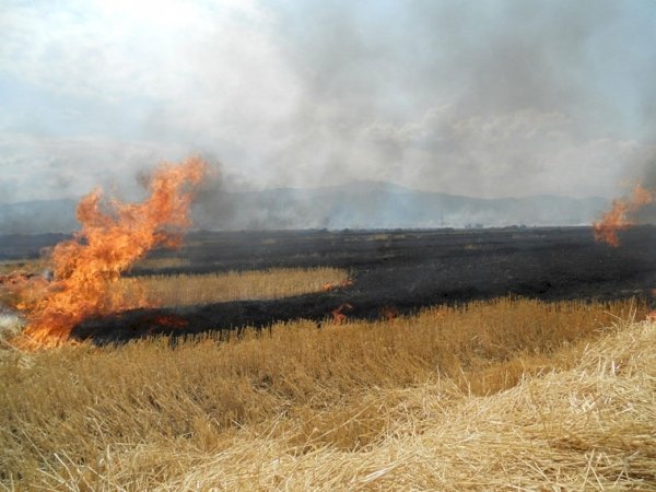 Arde pământul