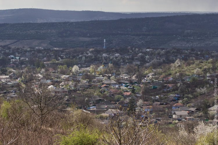 Cobâlca mea, Cobâlca noastră…