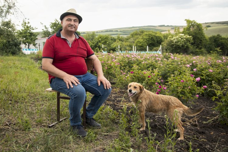 Victor Melnic și farmacia lui verde din satul Dobrogea