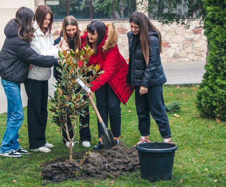 Școala ne învață să gândim logic ca să trăim ECOlogic