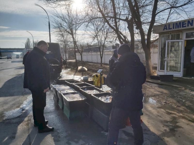 Prejudicii de peste 100 de milioane de lei din cauza pescuitului ilicit