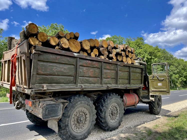 LEMNE FĂRĂ RESTRICŢII ÎN ACEST SEZON