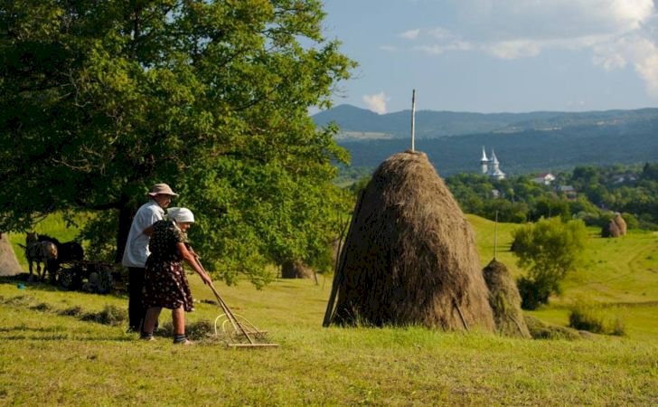 Bunicii și străbunicii noștri erau mai sănătoși
