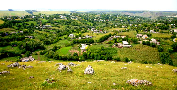 Brânzeni. Ce scria NATURA în august 2003