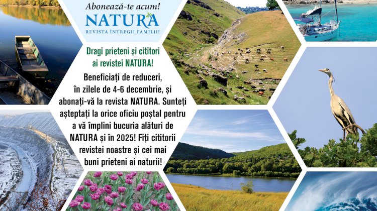 Abonează-te acum!