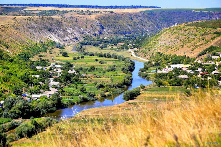 Laureații revistei NATURA, 2024