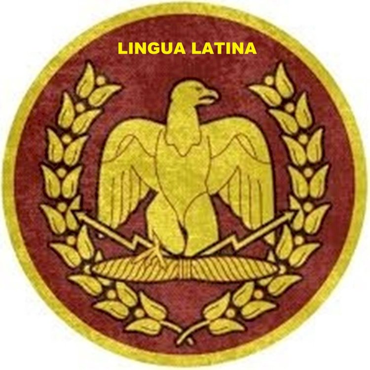 Latina Gintă nu mai e regină?