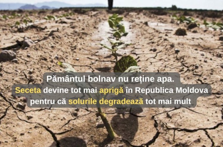 Degradarea solului și seceta în Republica Moldova