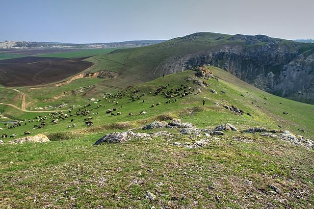Burlănești