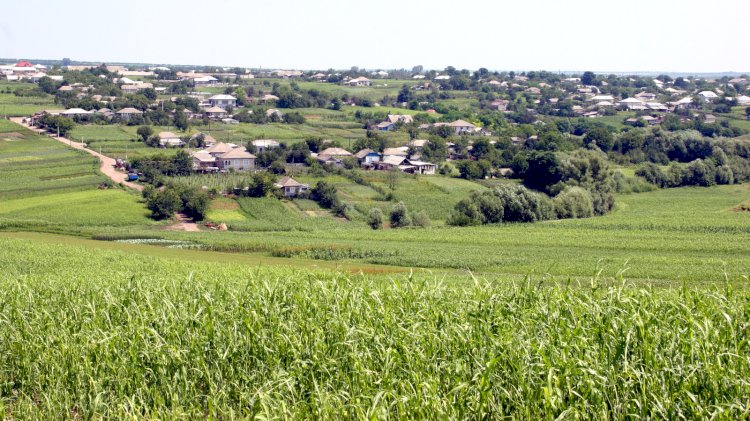 Caracușenii Vechi