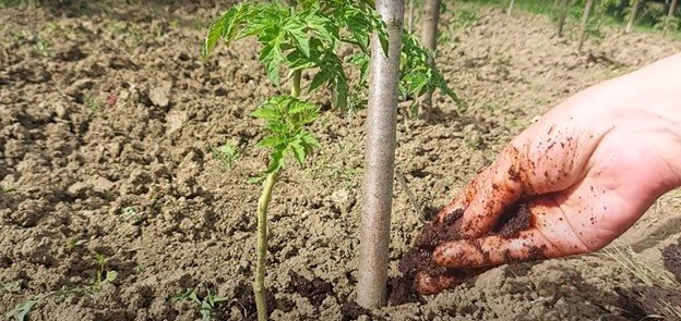 Creaţi-vă propriul îngrăşământ pentru grădină