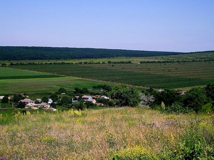 Ceadîr, un sătuc din noianul anilor ce vin și se duc