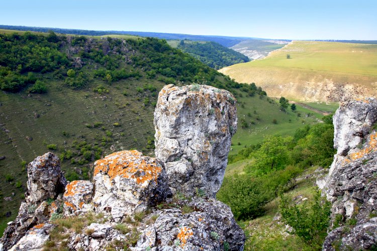 Valea râului Racovăţ
