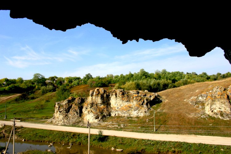 Pădurea Domnească