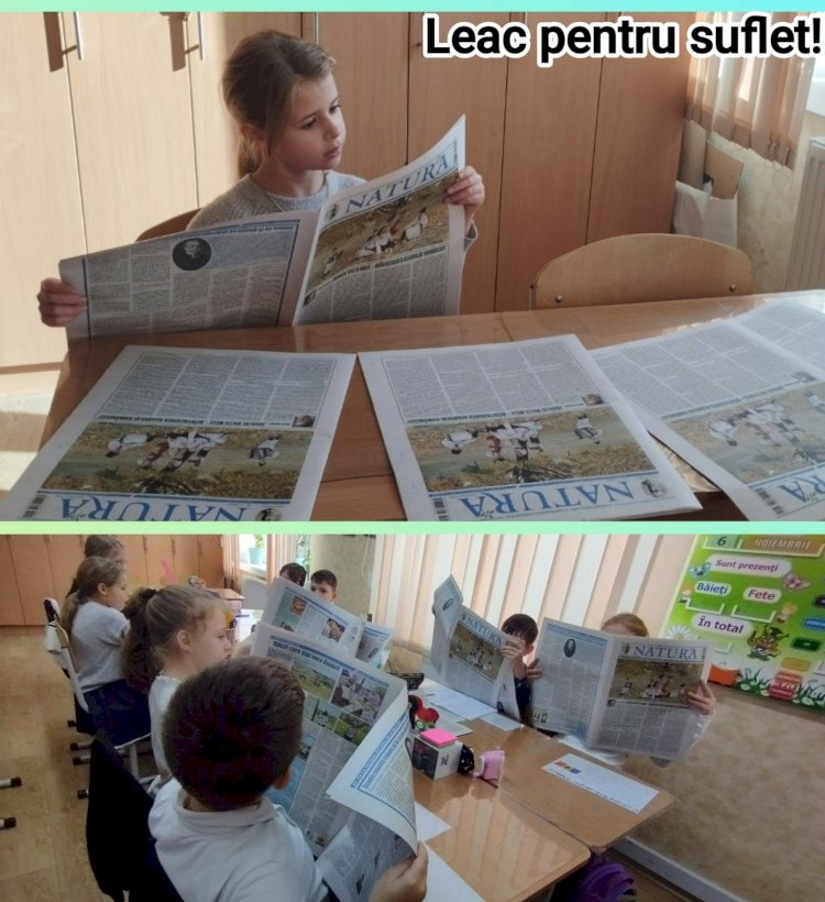 NATURA în topul preferințelor: localitățile cu cei mai fideli abonați