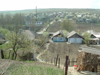 Grozasca - satul florilor de liliac