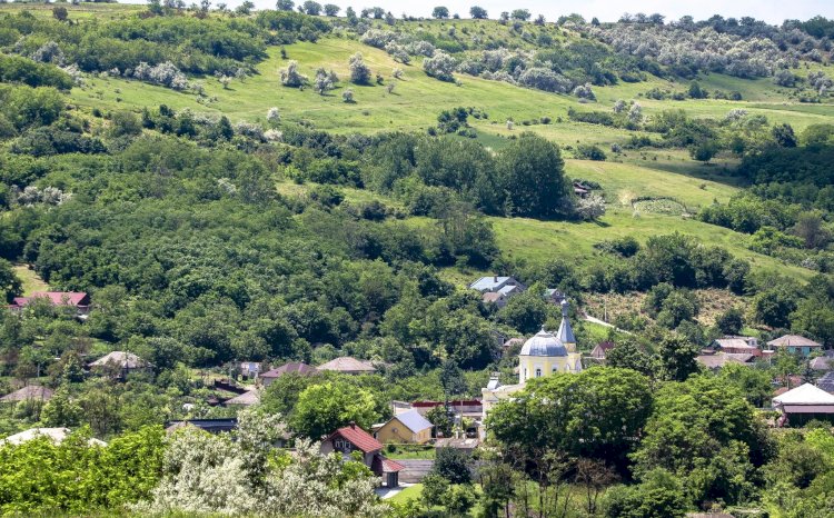 Pelerinajele spre ființa noastră