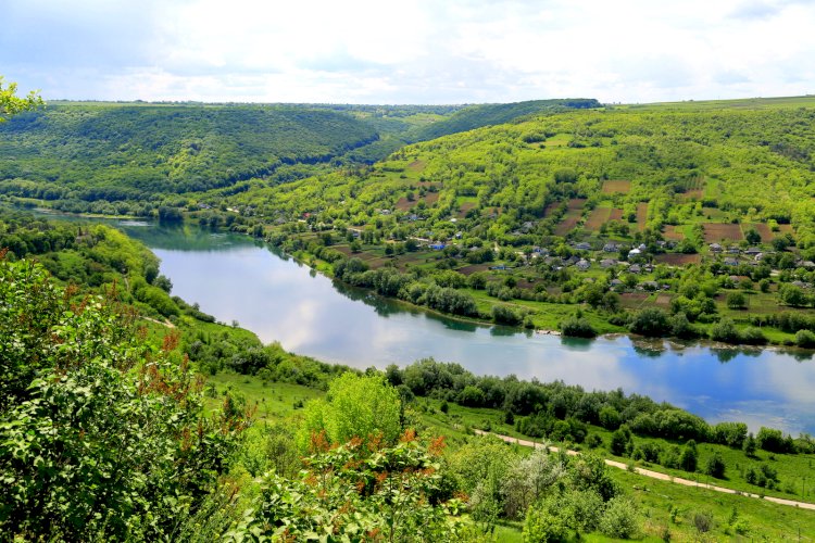 Ochiul revistei NATURA - Petru Pascaru la 50 de ani