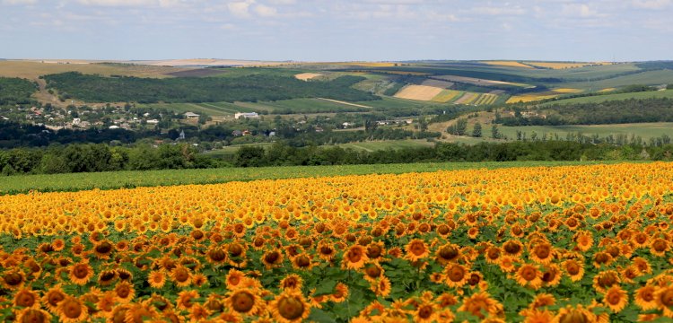 Biodiversitatea Republicii Moldova – patrimoniul natural pe care îl datorăm viitorului