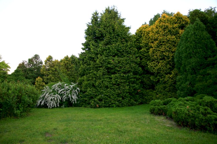 Conservarea biodiversității în Basarabia (1812-1917)