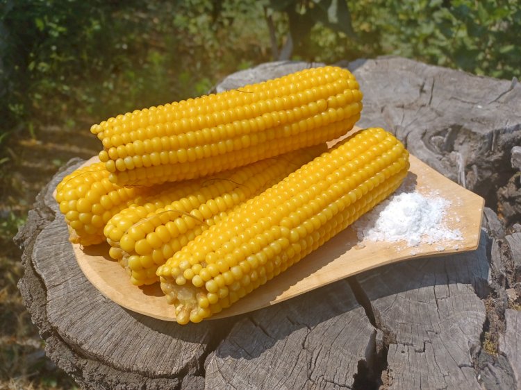Beneficiile porumbului dulce