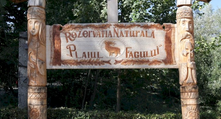 Țara Fagilor din dreapta Prutului