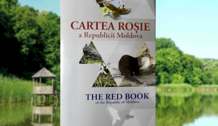 CARTEA ROȘIE – UN SEMNAL DE ALARMĂ