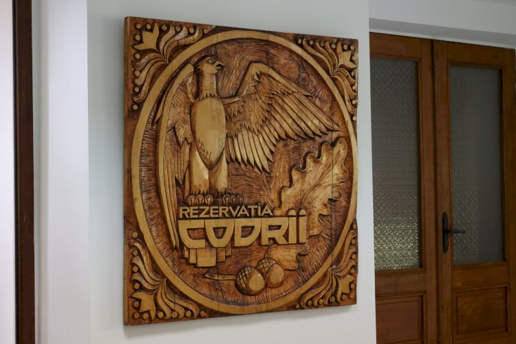 Rezervația Naturală „Codrii”, oază de natură în inima țării